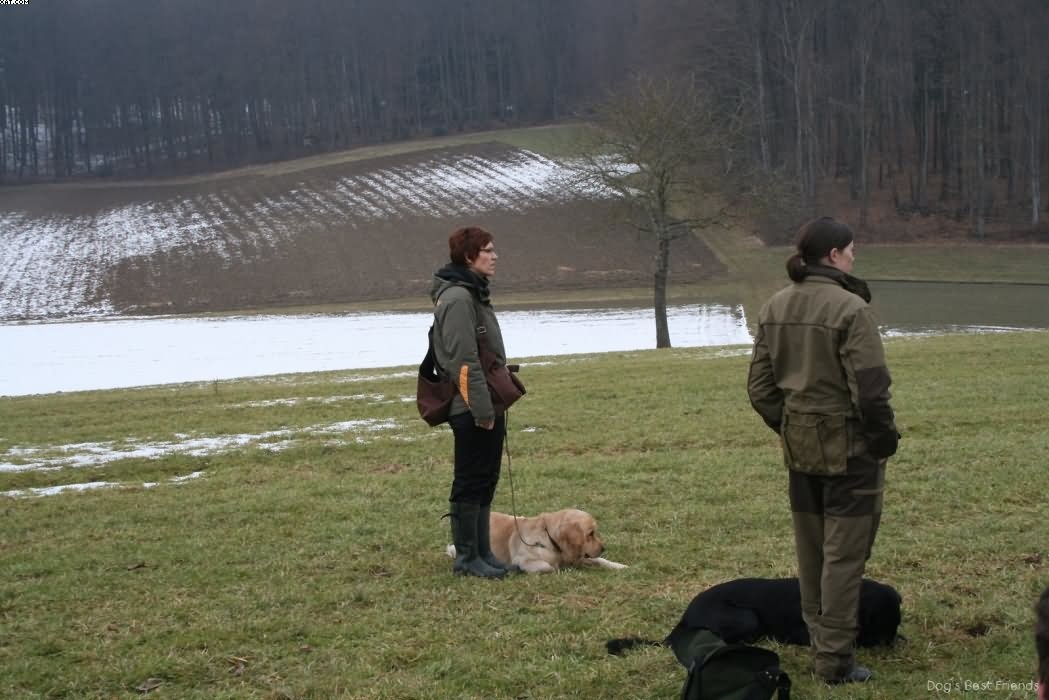 Img 1235938200 401 lg opt