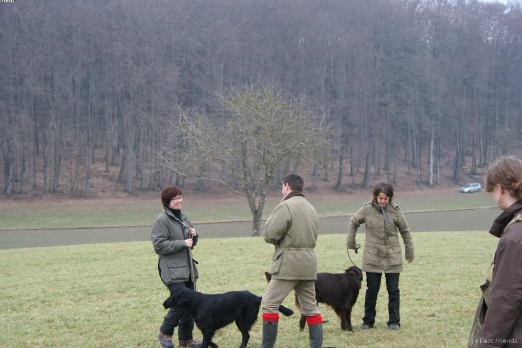 Img 1235938240 758 lg opt