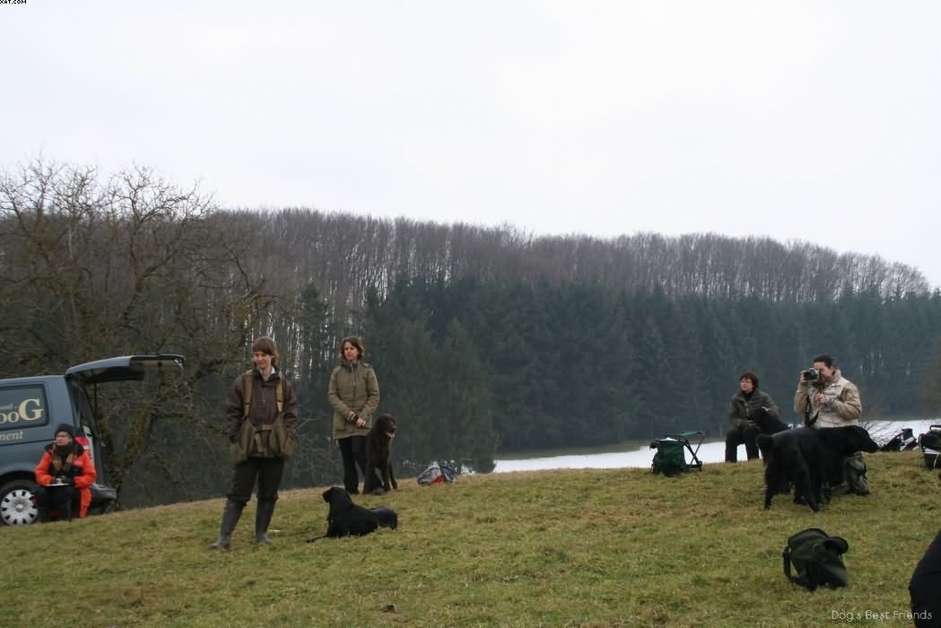 Img 1235938274 778 lg opt