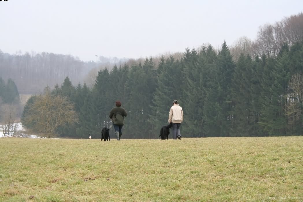 Img 1235938318 868 lg opt