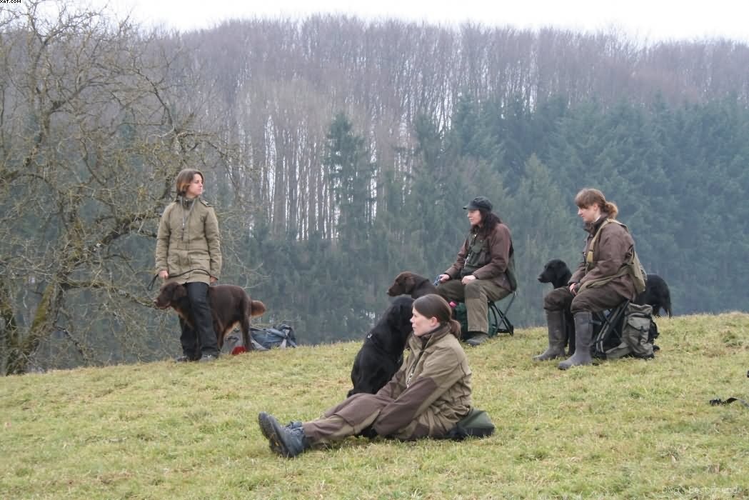 Img 1235938370 501 lg opt