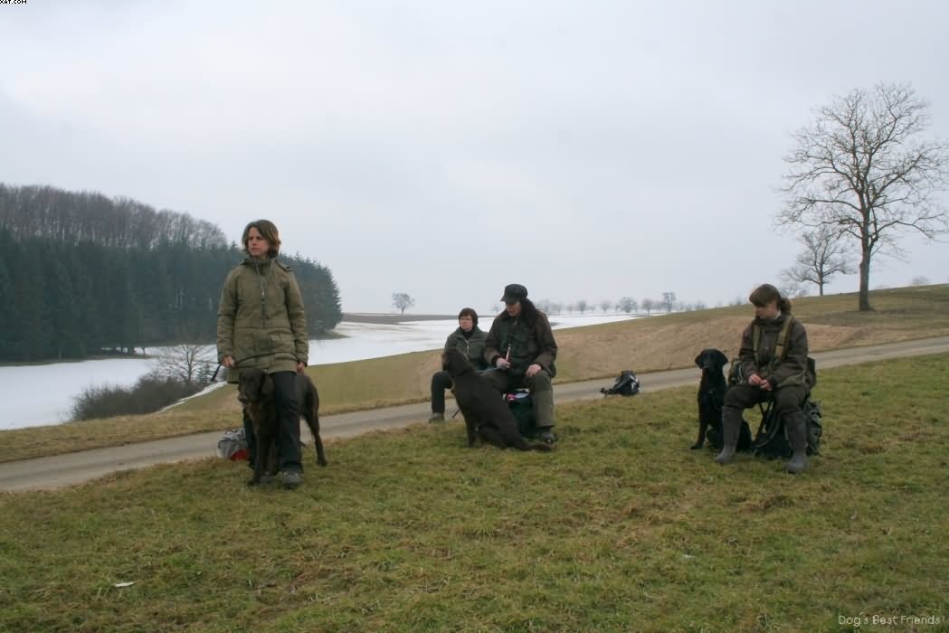 Img 1235938465 508 lg opt