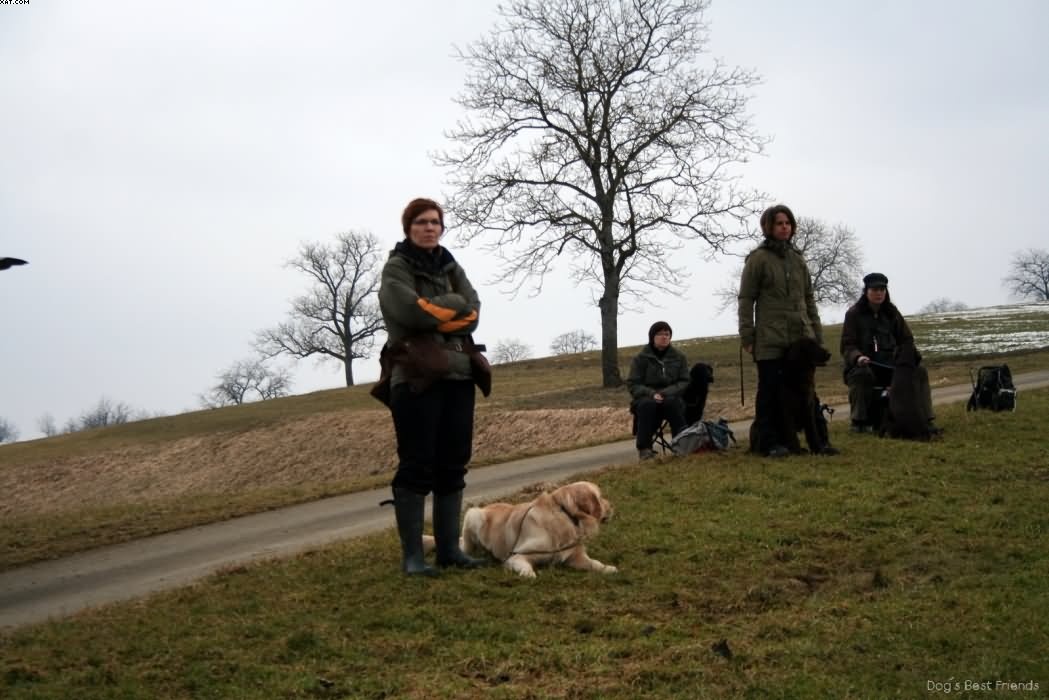 Img 1235938504 423 lg opt