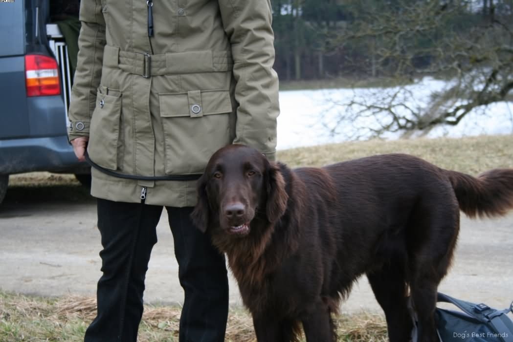 Img 1235938538 33 lg opt