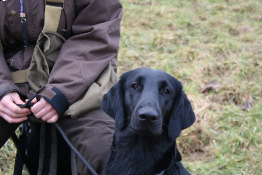 Img 1235938565 18 lg opt