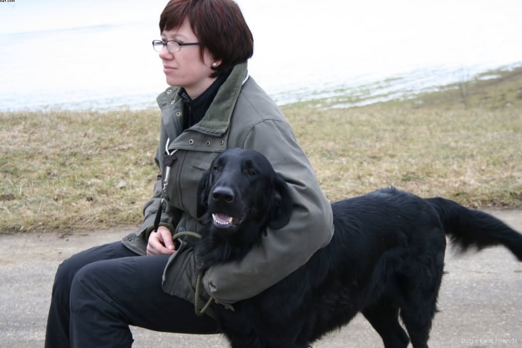 Img 1235938593 391 lg opt