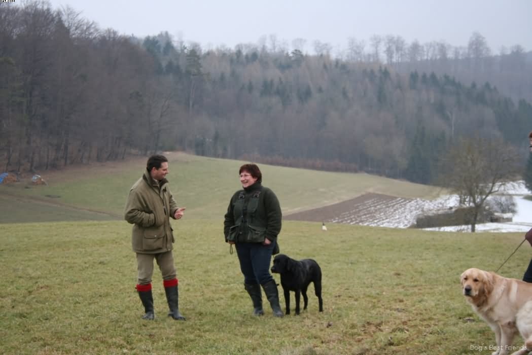 Img 1235938627 952 lg opt