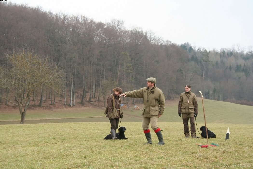 Img 1235938704 94 lg opt