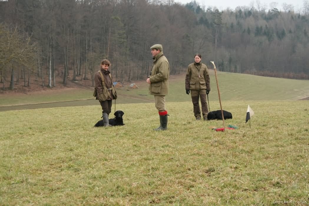 Img 1235938766 322 lg opt