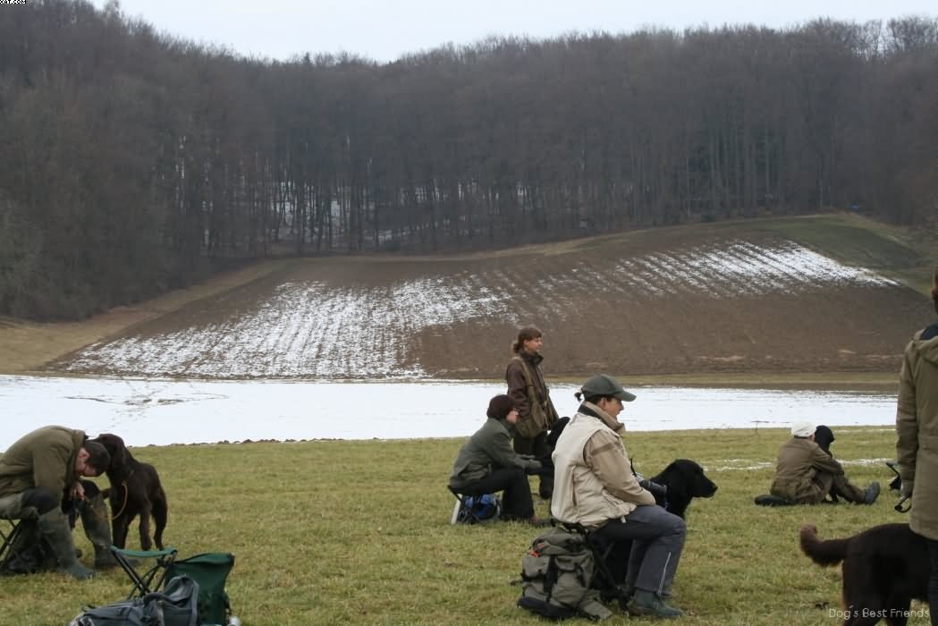 Img 1235938811 347 lg opt