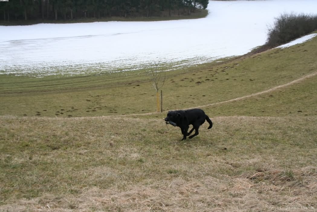 Img 1235938905 976 lg opt