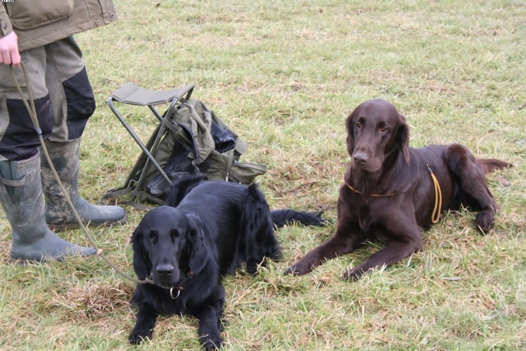 Img 1235939009 739 lg opt