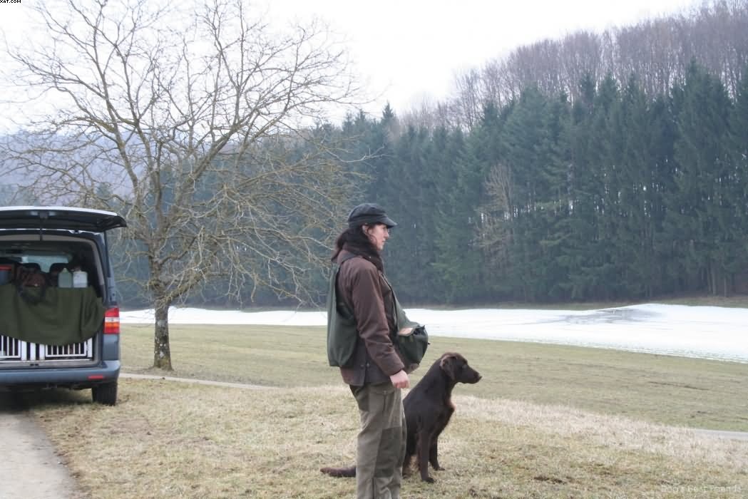 Img 1235939058 665 lg opt