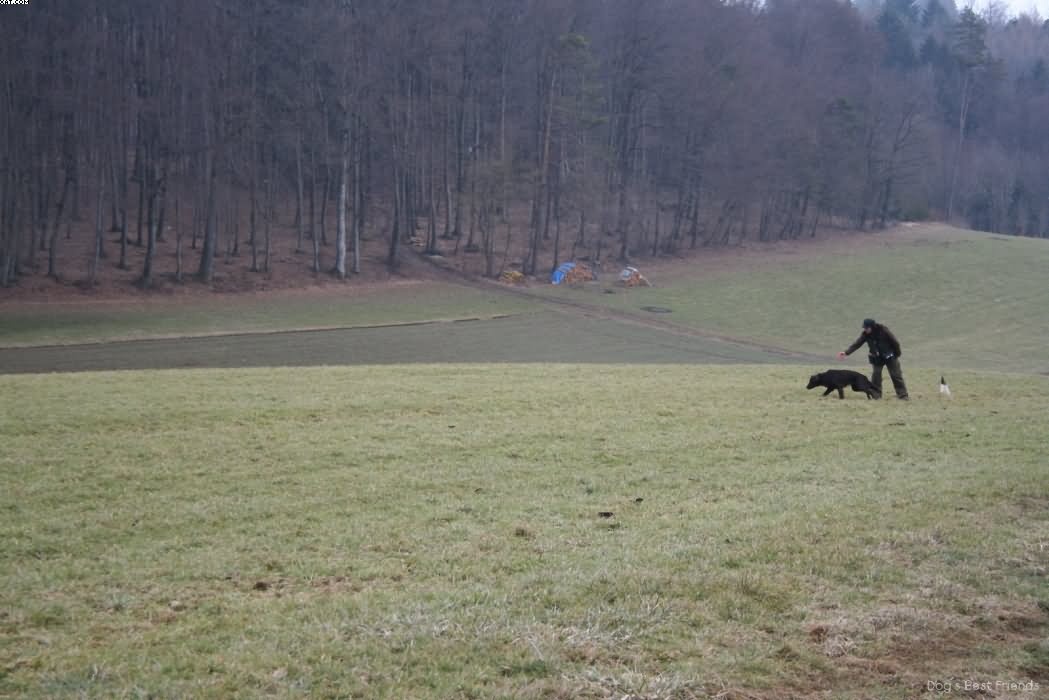 Img 1235939103 78 lg opt