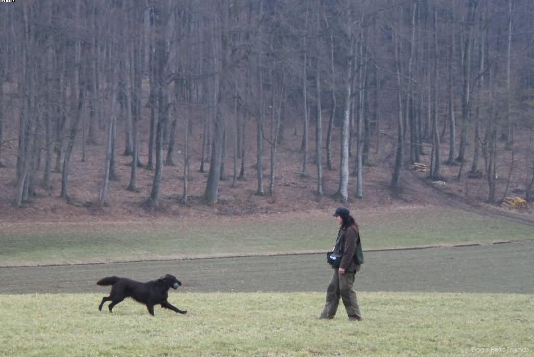 Img 1235939238 292 lg opt