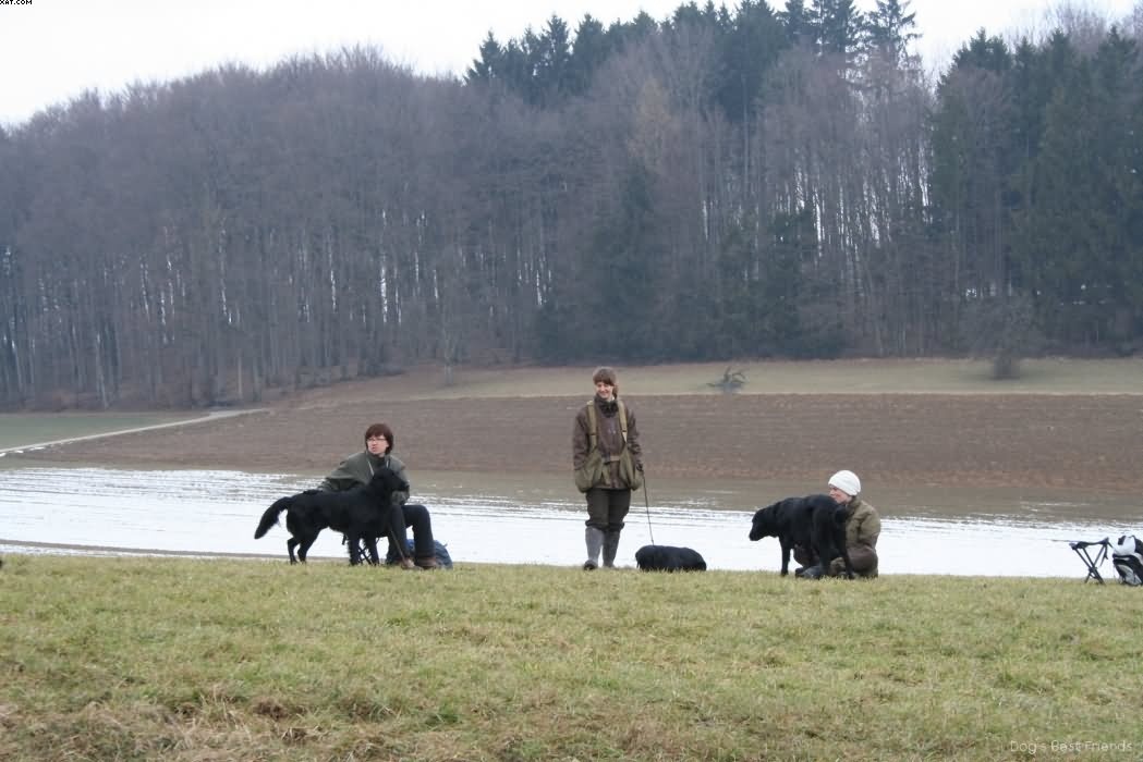 Img 1235939283 979 lg opt