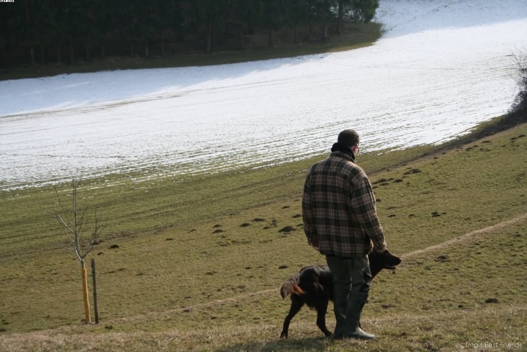 Img 1235939483 706 lg opt