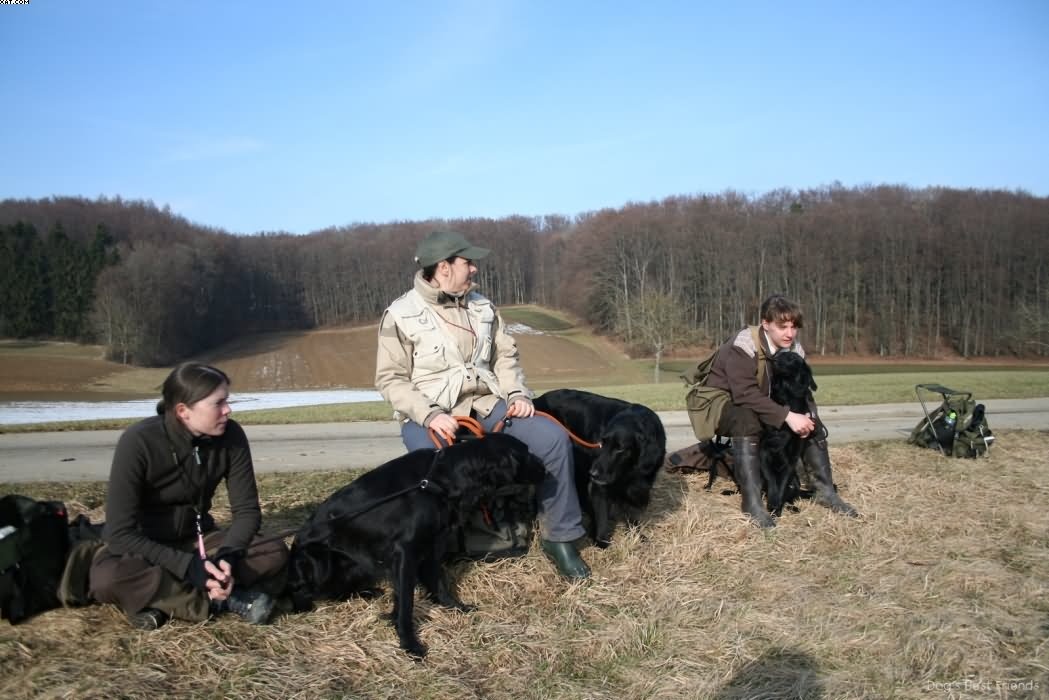 Img 1235939619 427 lg opt