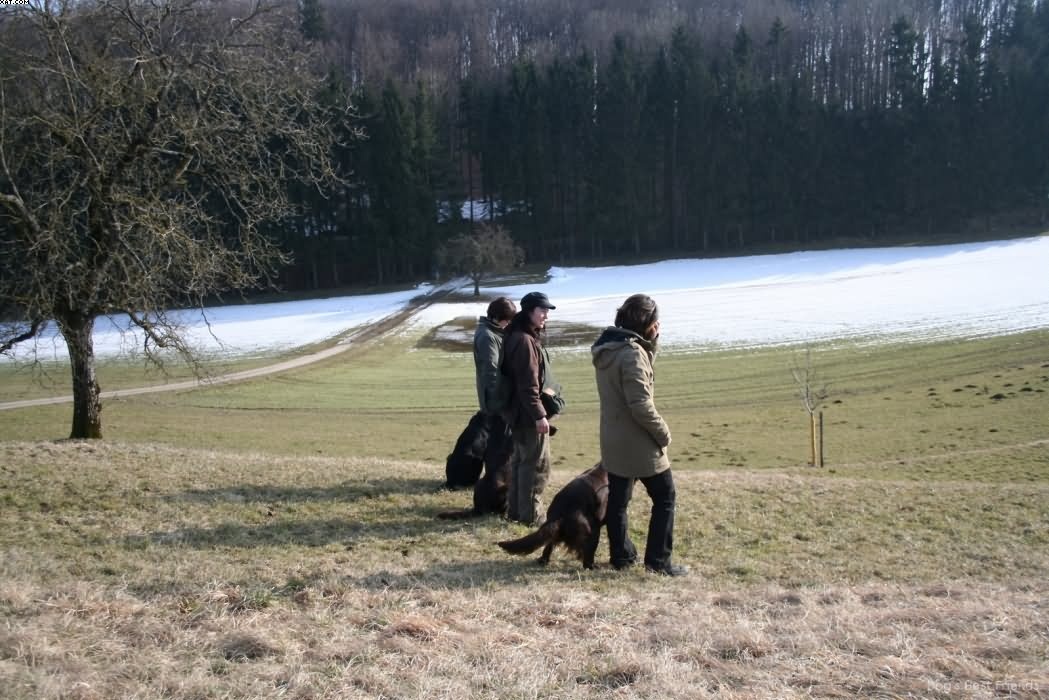 Img 1235939680 619 lg opt