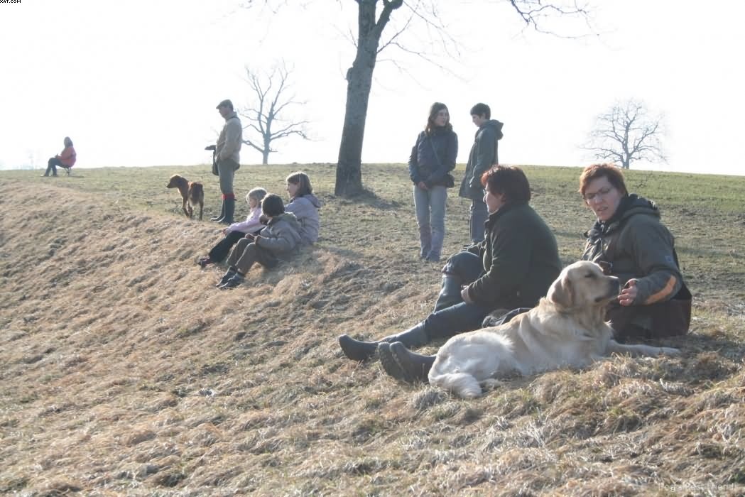 Img 1235939853 464 lg opt