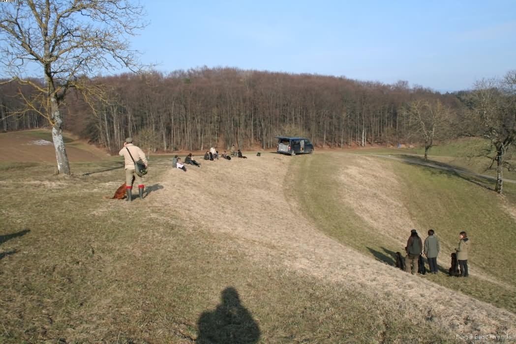 Img 1235940026 59 lg opt