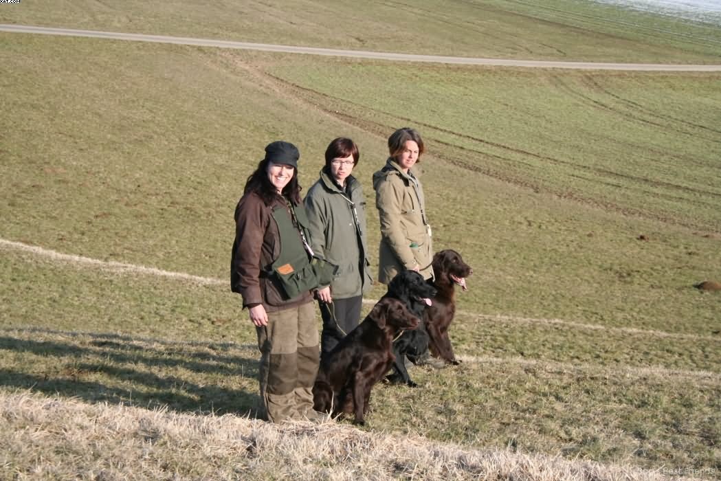 Img 1235940145 935 lg opt1