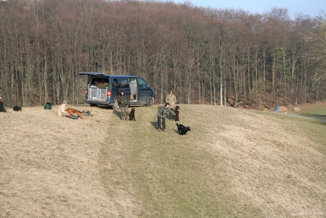 Img 1235940202 536 lg opt