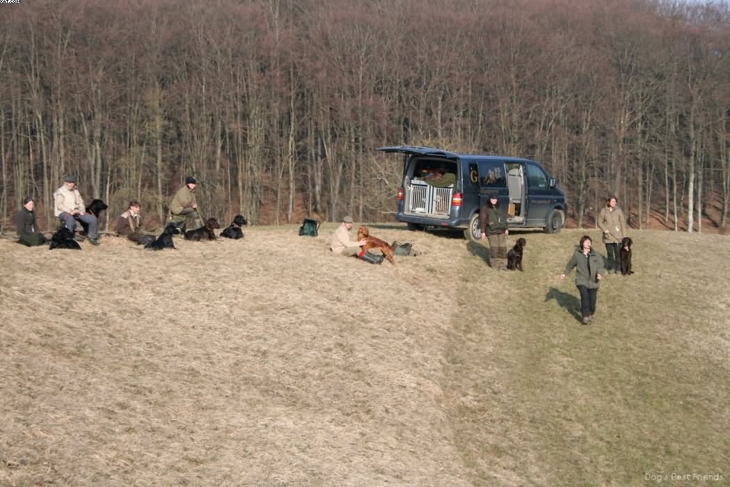 Img 1235940286 411 lg opt