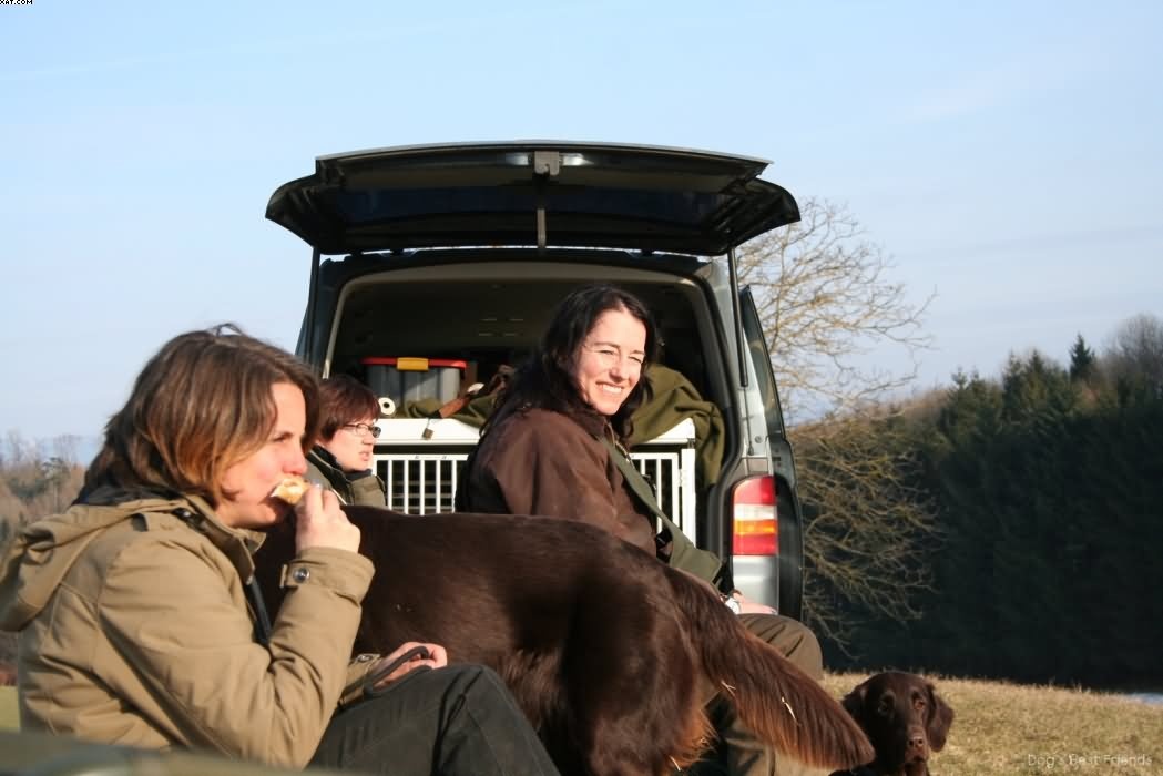 Img 1235940387 645 lg opt