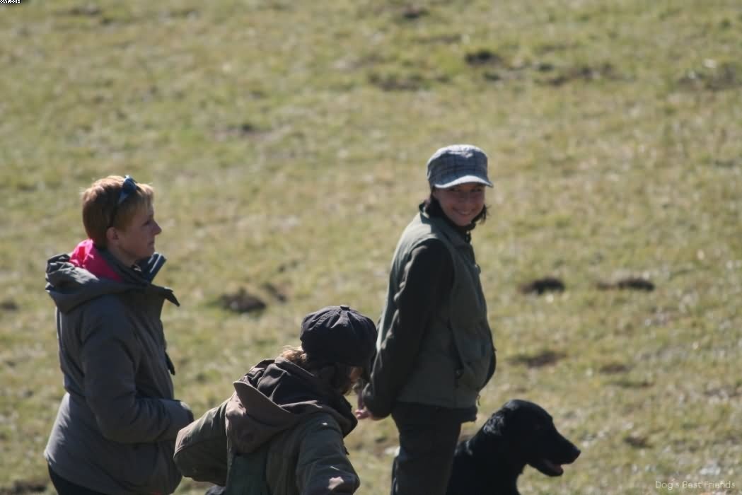 Img 1235940710 886 lg opt