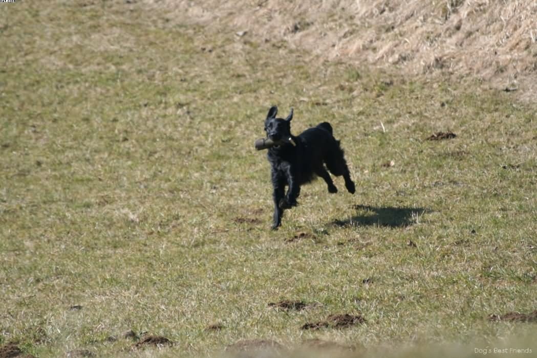 Img 1235940770 767 lg opt