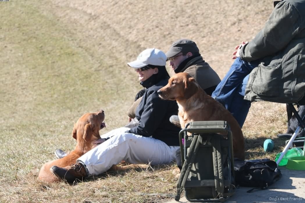 Img 1235940815 57 lg opt