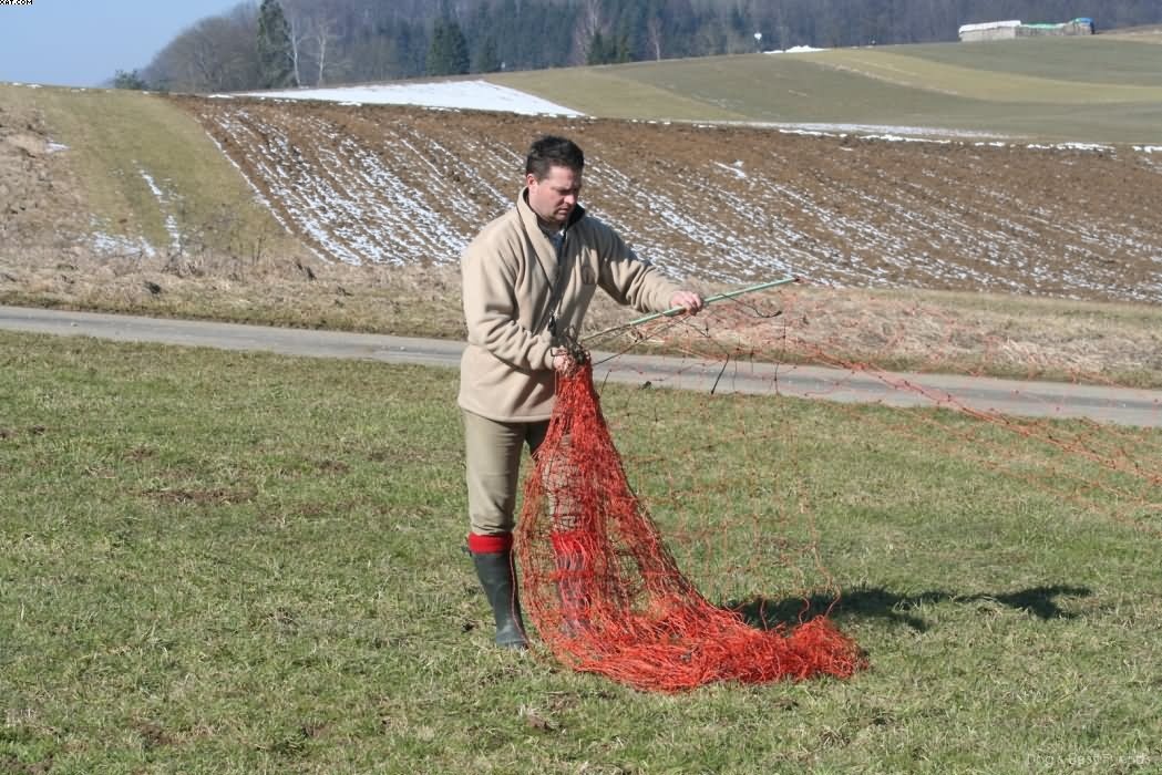 Img 1235941032 735 lg opt