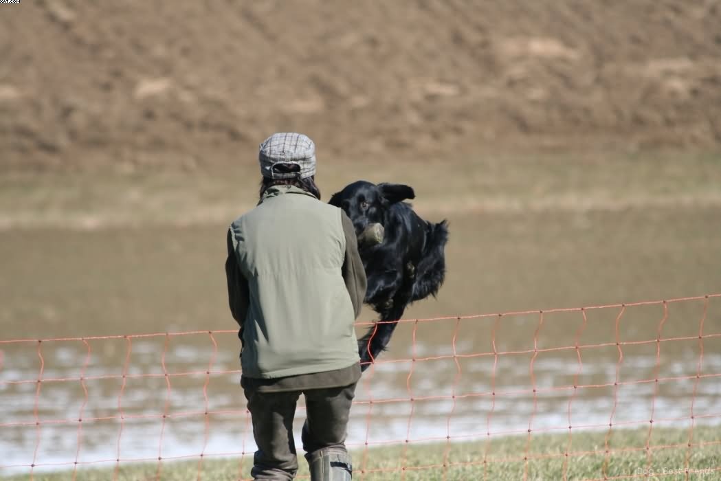 Img 1235941148 223 lg opt