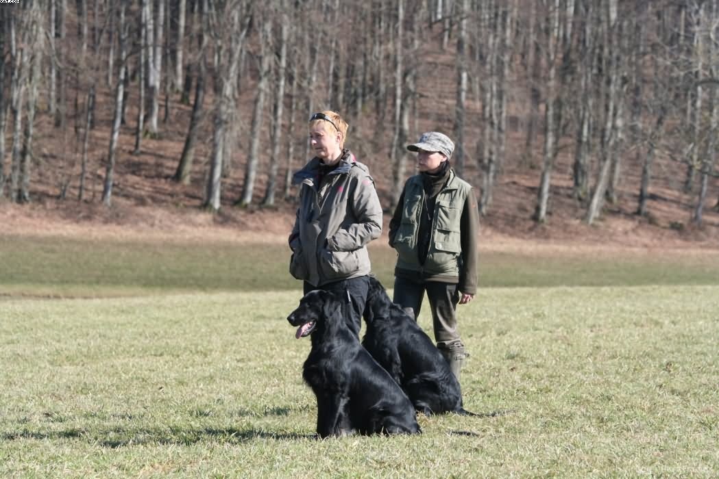 Img 1235941281 178 lg opt