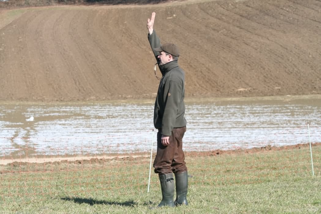 Img 1235941330 61 lg opt