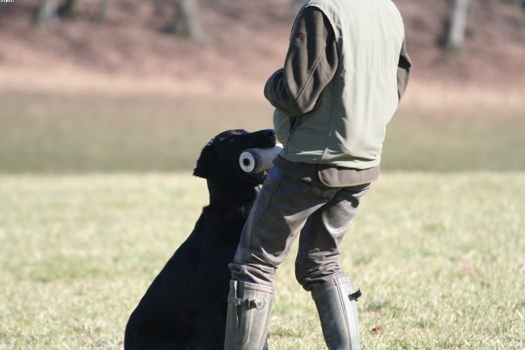 Img 1235941448 911 lg opt