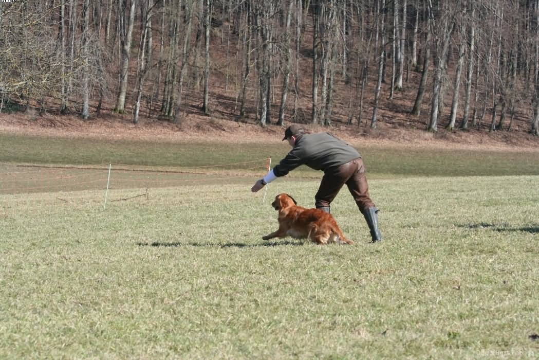 Img 1235941680 217 lg opt