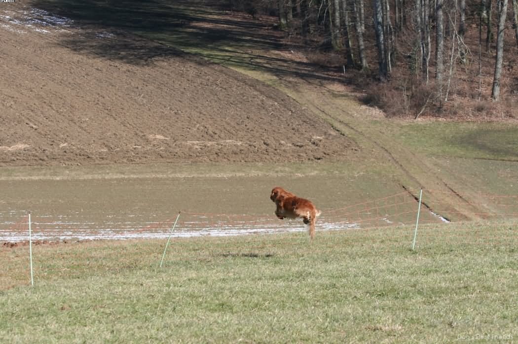 Img 1235941745 805 lg opt