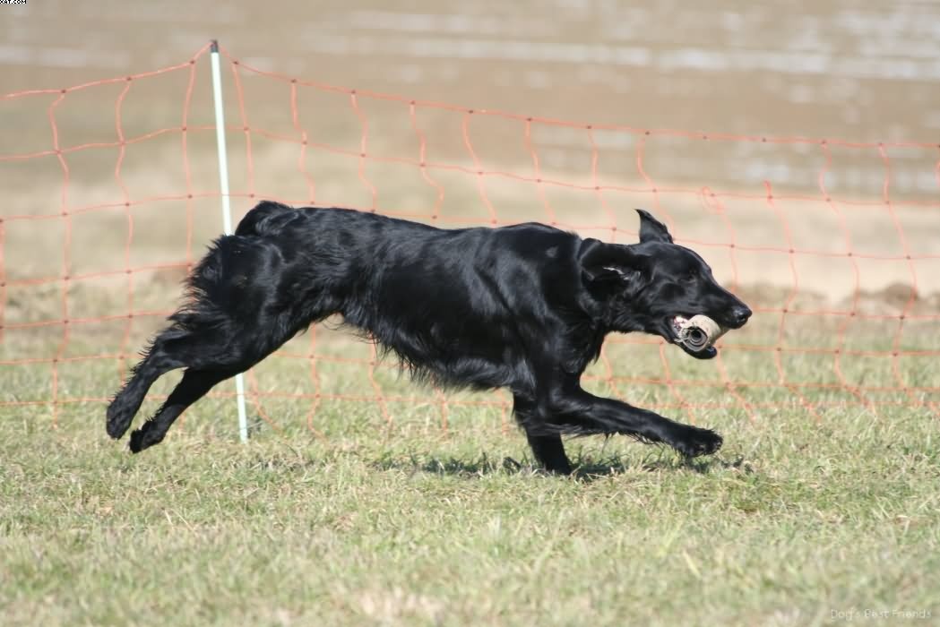 Img 1235941858 45 lg opt