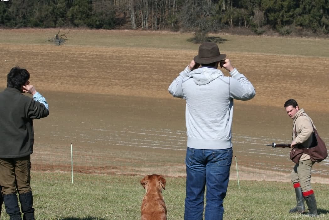 Img 1235941911 740 lg opt