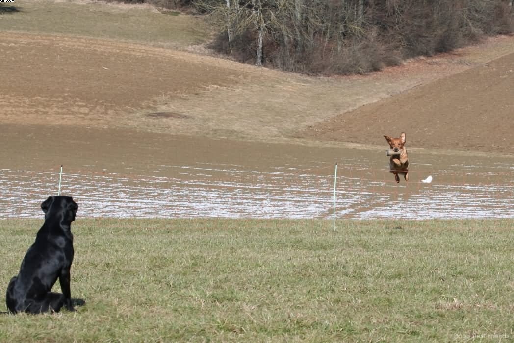 Img 1235941976 734 lg opt