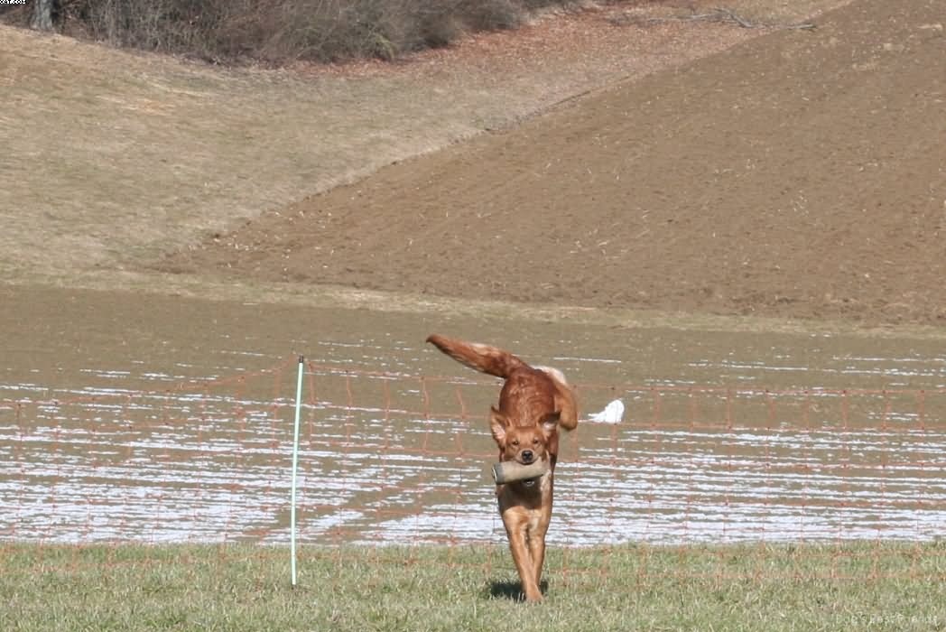 Img 1235942015 348 lg opt