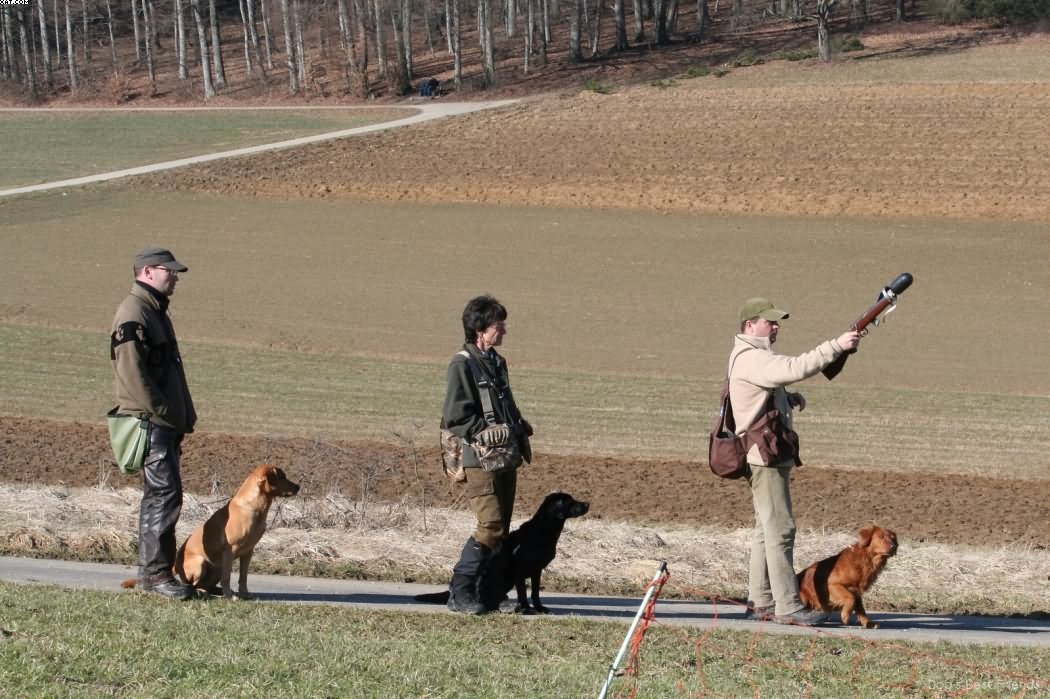 Img 1235942176 47 lg opt