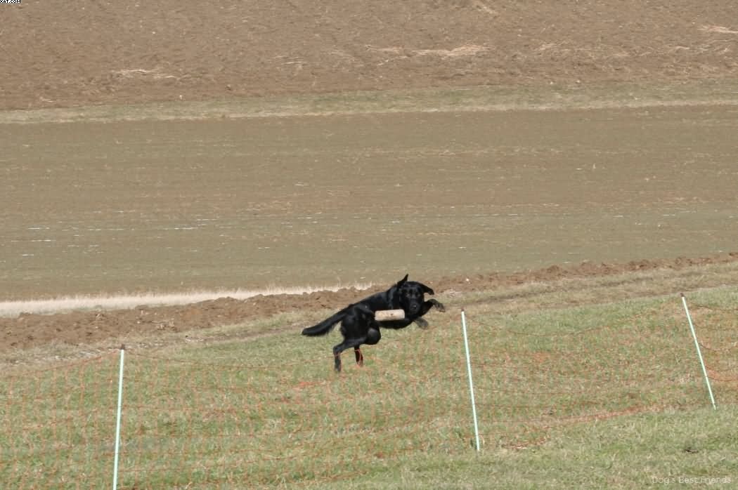 Img 1235942291 567 lg opt