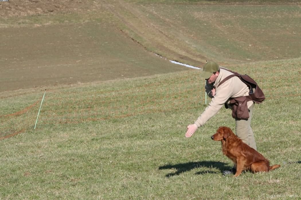 Img 1235942353 763 lg opt