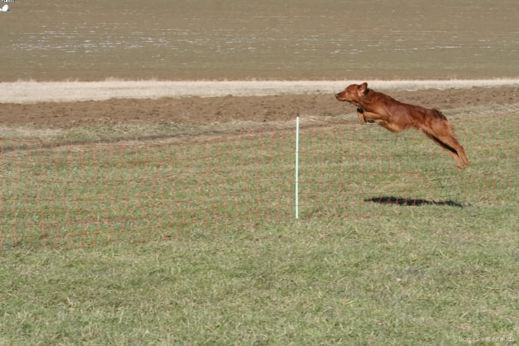 Img 1235942404 94 lg opt