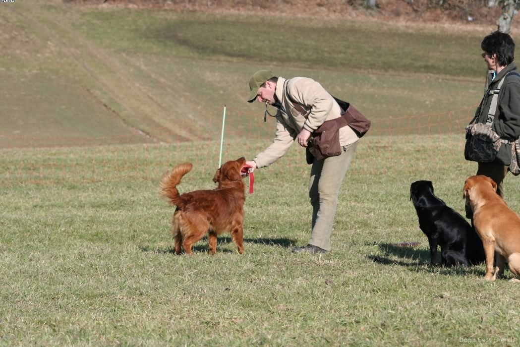 Img 1235942551 224 lg opt