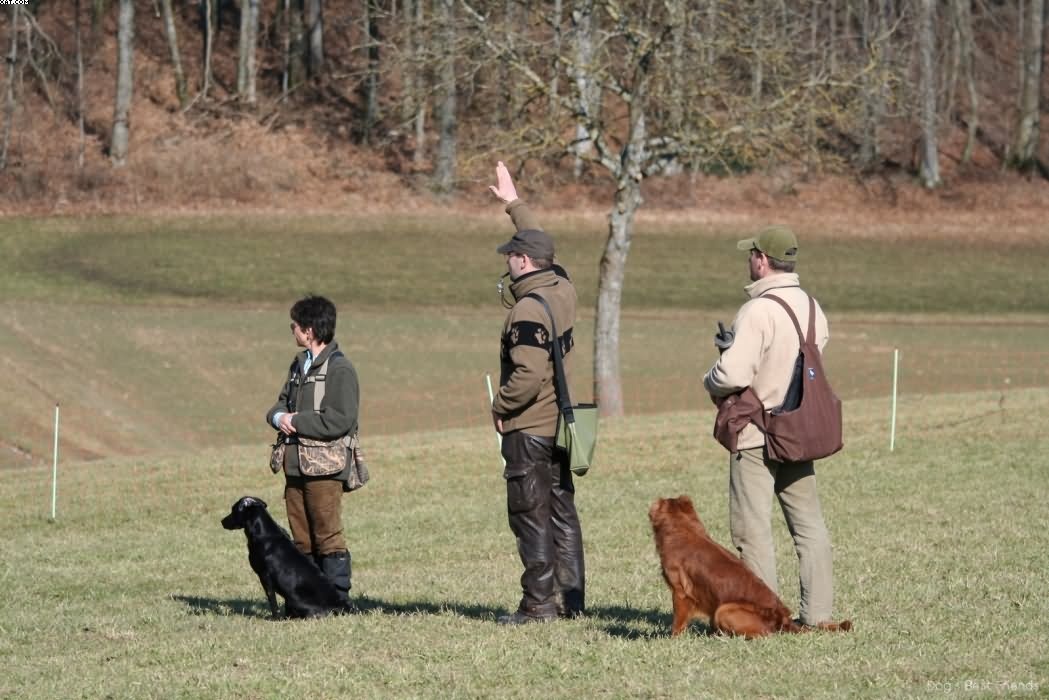 Img 1235942721 484 lg opt