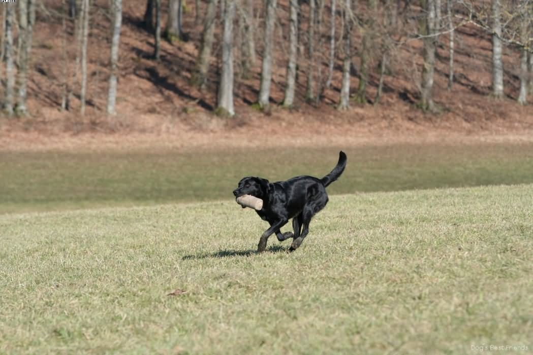 Img 1235942931 429 lg opt